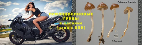 альфа пвп Кропоткин
