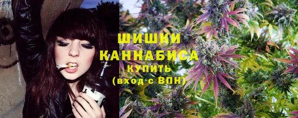 СК Сафоново