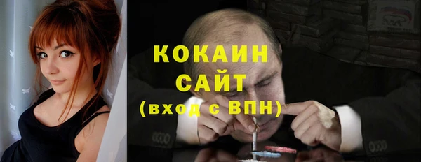 СК Сафоново