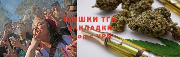 СК Сафоново