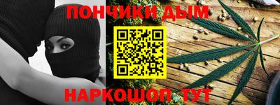 шишки Кандалакша