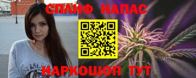 шишки Кандалакша
