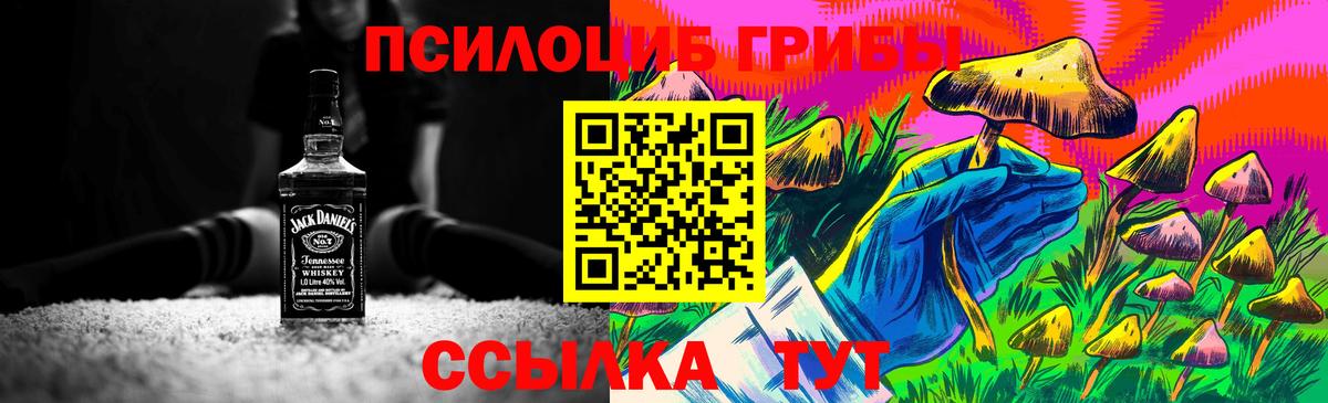 Псилоцибиновые грибы Magic Shrooms Удомля