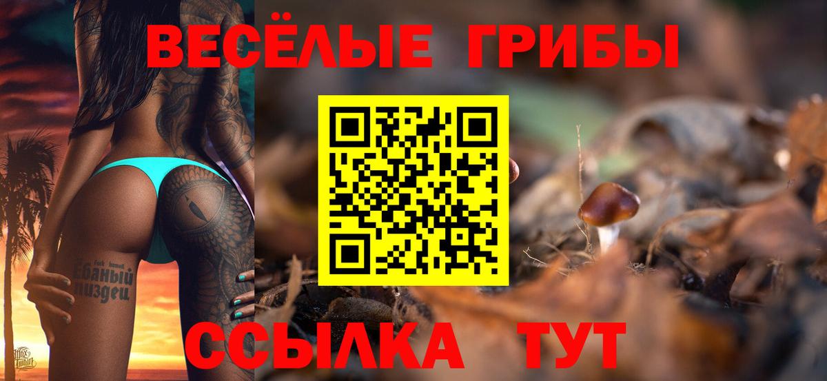 Псилоцибиновые грибы Psilocybine cubensis  Псилоцибиновые грибы мухоморы  Удомля  Вход с VPN 