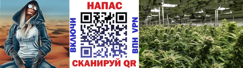 блэк спрут сайт  продажа наркотиков  Удомля  Канабис план 